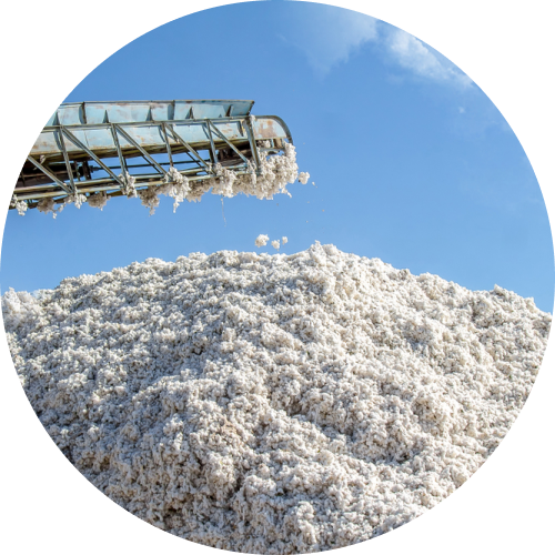 Cotton Industries